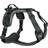 Non-Stop Dogwear Ramble Sele