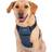 Company of Animals Carsafe Crash Tested Dog X Small