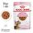 Royal Canin Kitten SterilisedGravy kattmat 12x85g