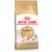 Royal Canin Adult Dry Cat Food 10 10kg