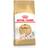 Royal Canin Adult Dry Cat Food 10