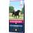 Eukanuba Mature Large Breed Dry Dog Food Chicken 12kg