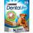 Purina Dentalife tuggpinne Large 1 påse, 4 tuggpinnar