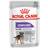 Royal Canin CCN Sterilised Wet