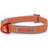 Siccaro Sealines hundehalsbånd sølv/orange 29-36 cm/str. S