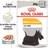 Royal Canin DERMACOMFORT ADULT HUNDEFODER