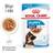 Royal Canin Wet Maxi Puppy Saver Pack: