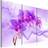 Arkiio Ethereal orchid violet 120x80 Tavla