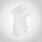 Texstar Skjorta Dam S/S WS20