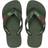 Havaianas Brazil Logo Moss 37/38