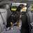 Kurgo Direct To Seatbelt Swivel Tether