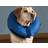 ZenPet ProCollar L