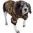 Petlife Metallic Fashion Parka Coat