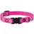 LupinePet Pet Original Multicolor Puppy Love Nylon Adjustable Collar
