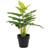 Dkd Home Decor Dekorativ plante Sort Grøn PVC PP Iris (25 x 25 x 30 cm) Kunstig plante