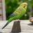 Wildlife Garden DecoBird Prydnadsfigur 15.1cm