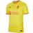 NIKE Liverpool FC Stadium Third Jersey 2021-22