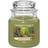 Yankee Candle Autumn Nature Walk Doftljus 623g