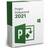 Microsoft Project Professional 2021