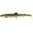 Westin BullTeez Shadtail 18 cm Natural Pike