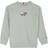 Tommy Hilfiger Flag Logo Sweatshirt - Faded Willow (KB0KB07603)