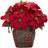 Poinsettia with Decorative See Product Description Artificial Plant