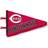 Pegasus Sports LLC Cincinnati Reds Team Pennant Pillow