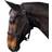 Requisite Economy Headcollar