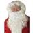 Rubies Santa Beard And Wig Set