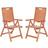 Safavieh Rence 2-pack Garden Dining Chair