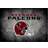 Imperial Atlanta Falcons Distressed Rug