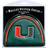 Team Golf Miami Hurricanes Mallet Putter Cover