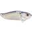 Strike Pro Astro Vibe 4.5cm Ghost Shad