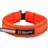Non-Stop Dogwear Safe Collar Hundhalsband 65