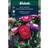 Weibulls Aster Pompon Mix Blomsterfrø