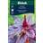 Weibulls Amarant Garnet Red Blomsterfrø