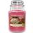 Yankee Candle Peppermint Pinwheels Doftljus 623g