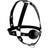 Strict Head Harness with Ball Gag