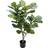 Götessons Violet ficus Konstgjord växt