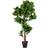 House Nordic Fiddle Leaf Kunstig plante