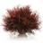 Biorb Bordeaux Sea Lily