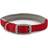 Ancol Viva Padded Dog Collar