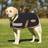 Weatherbeeta Therapy-Tec Fleece Dog Coat 30cm