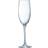 ARC - Champagne Glass 24cl