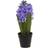 Winteria Hyacinth Konstgjord växt