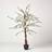 Homescapes Blossom Tree with White Silk Flowers Artificial Plant