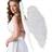 White Angel Wings with Feathers