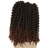 Lady Miranda Afro kinky Curly Braiding Hair Extension #0 Black&Brown