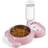 Pet Water and Food Bowl Set with Automatic Water Dispenser Bottle Detachable