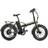 Rawbike 4X 750W Unisex